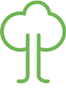 Rimba Raya Biodiversity Focused Initiative
