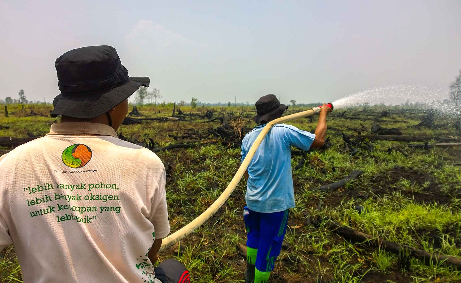 Rimba Raya Biodiversity Reserve | Climate Initiative | Fire Fighting Brigades