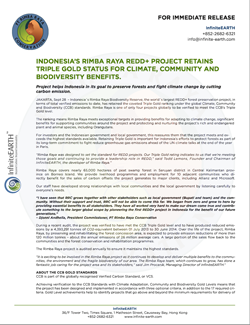 Rimba-Raya-Release-Thumb-CCB-Triple-Gold