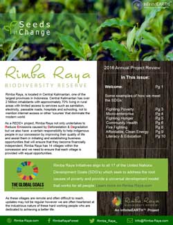 rimba-raya-seeds-of-change-thumb-2016eoy-en