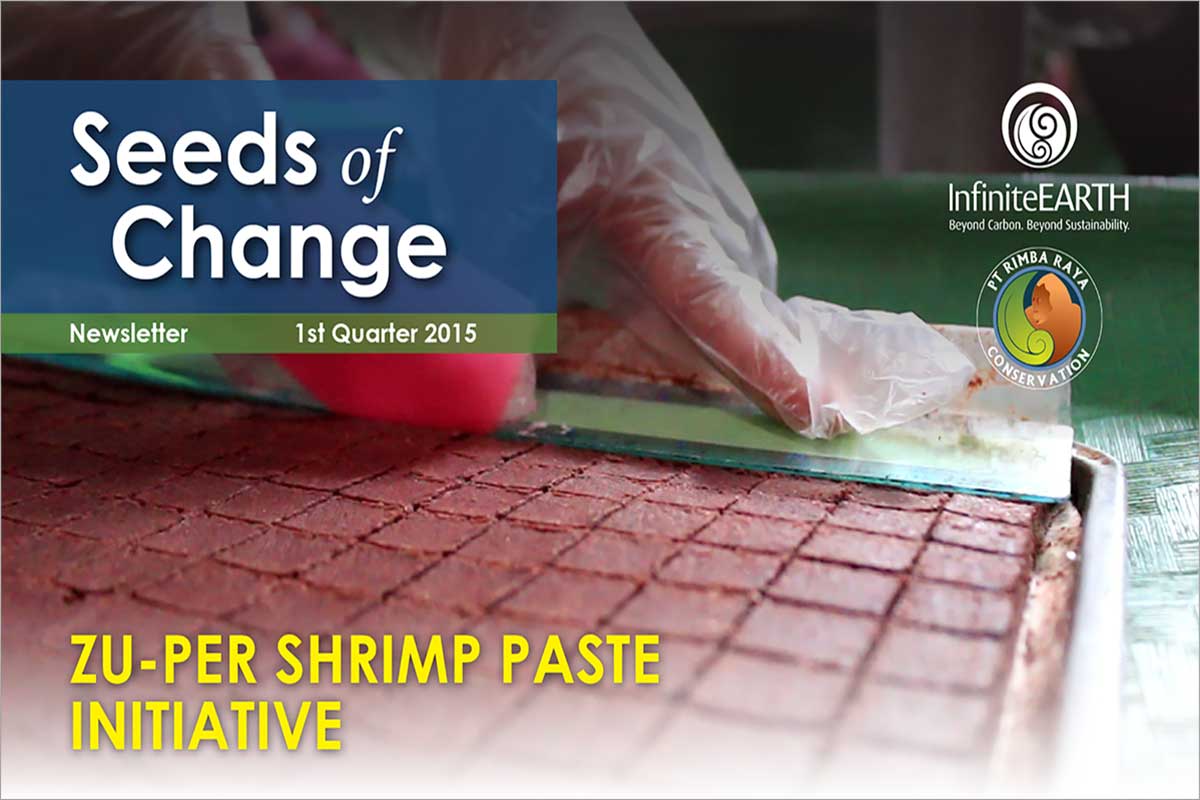 Rimba Raya | Seeds of Change Newsletter | Community Initiative | Zu-Per Shrimp Paste Co-Op