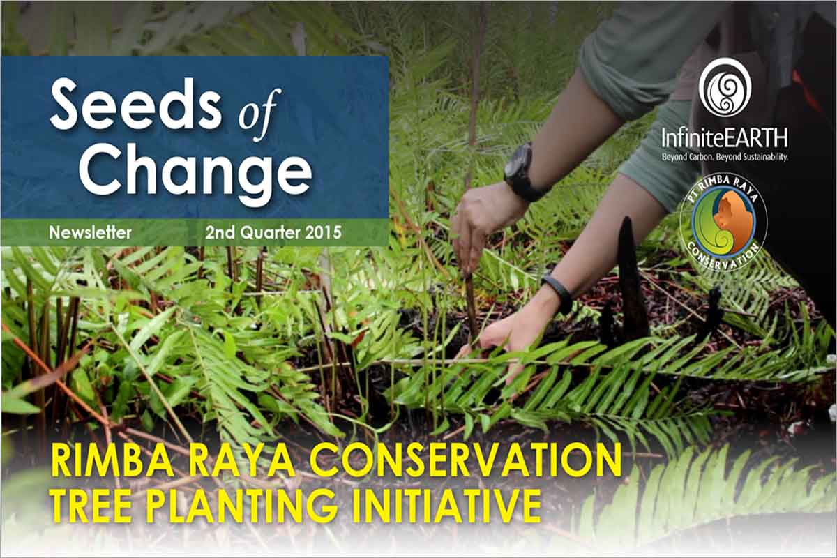 Rimba Raya | Seeds of Change Newsletter | Tree Planting Initiative